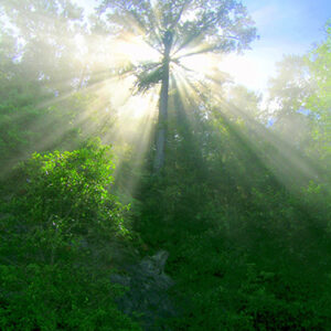 Relaxation intégrative, niveau 1