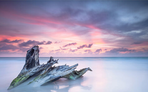 Illustration de la formation Deuil normal, deuil pathologique : cheminement, singularités, facteurs de risque