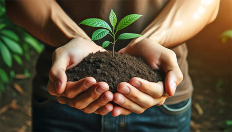 Illustration de la formation Thérapie fondée sur la compassion, niveau 2 : approfondissement et stratégies avancées