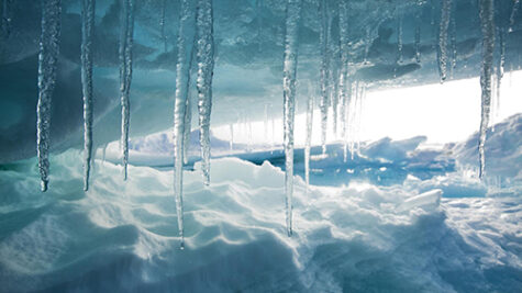 Illustration de la formation Thérapie Somatic Experiencing : restauration physiologique de la désorganisation traumatique